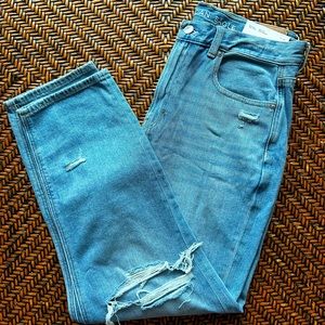 American Eagle Mom Jeans